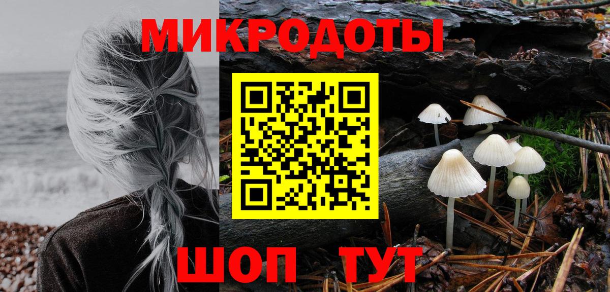 Галлюциногенные грибы Cubensis Карталы