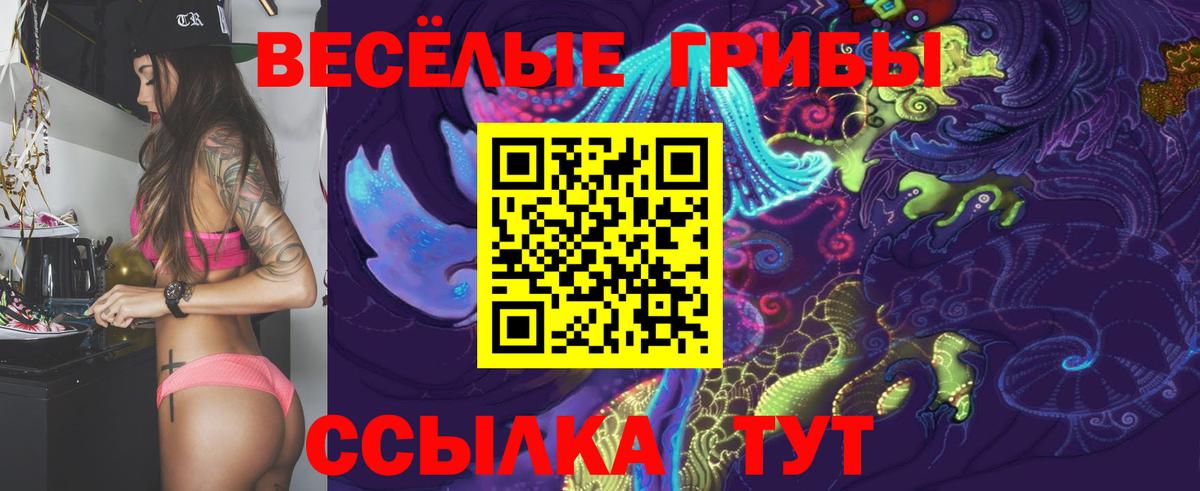 Псилоцибиновые грибы Magic Shrooms  Вход с VPN  Карталы  Псилоцибиновые грибы GOLDEN TEACHER 
